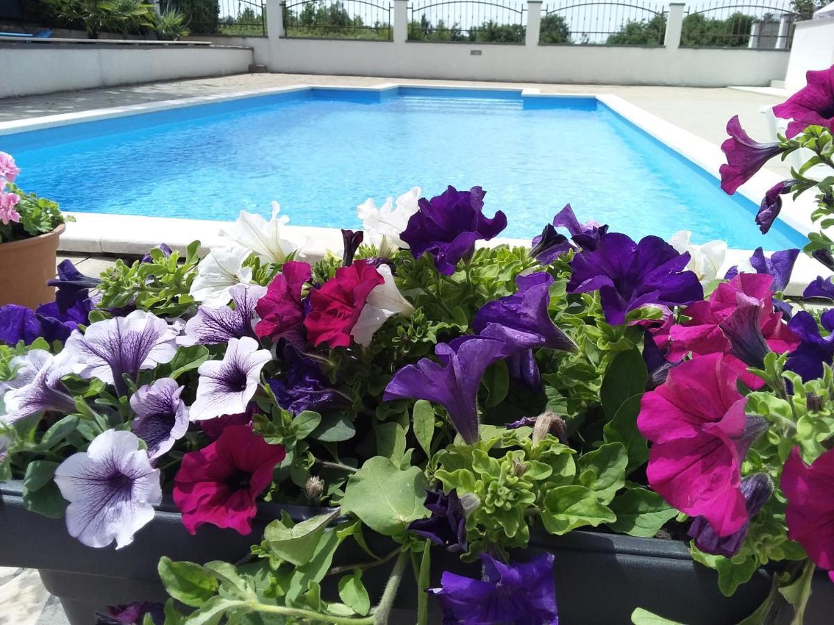 House Apartments Ariamare Poreč Zewnętrze zdjęcie