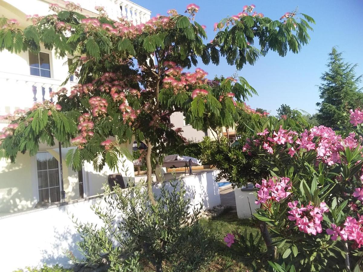House Apartments Ariamare Poreč Zewnętrze zdjęcie