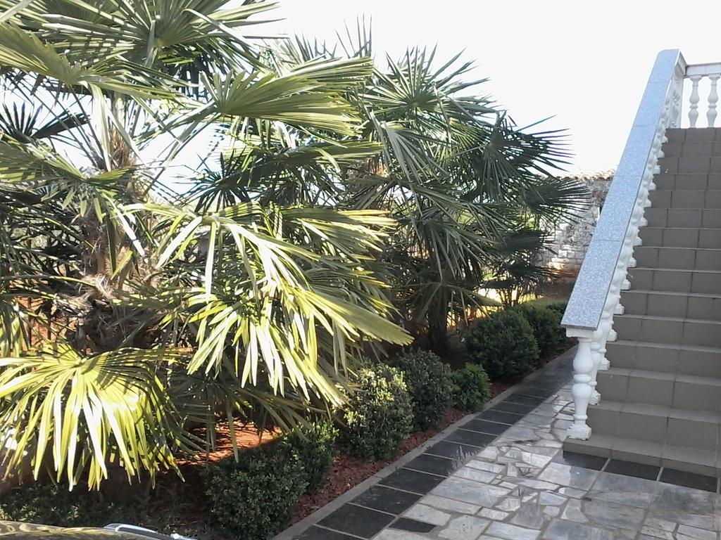 House Apartments Ariamare Poreč Zewnętrze zdjęcie