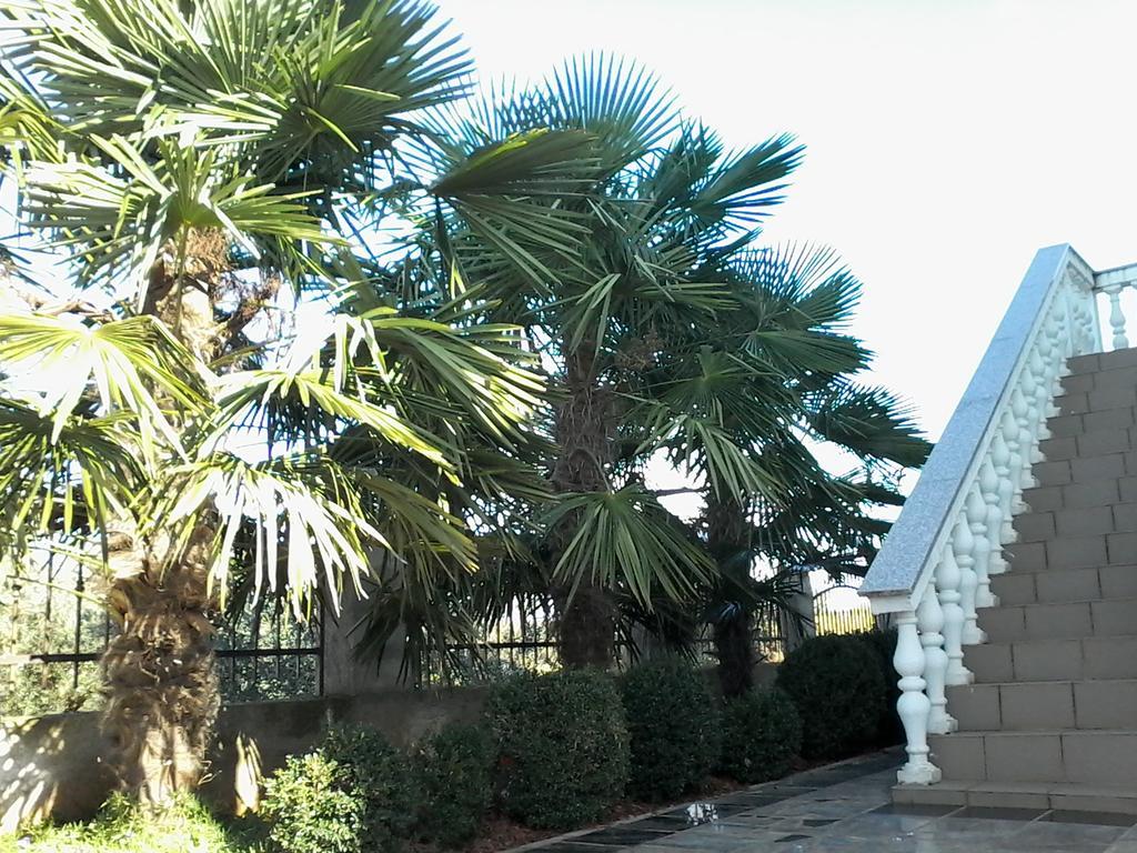 House Apartments Ariamare Poreč Zewnętrze zdjęcie