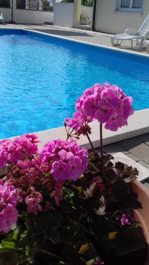 House Apartments Ariamare Poreč Zewnętrze zdjęcie